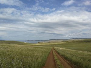 The steppe wild walk 