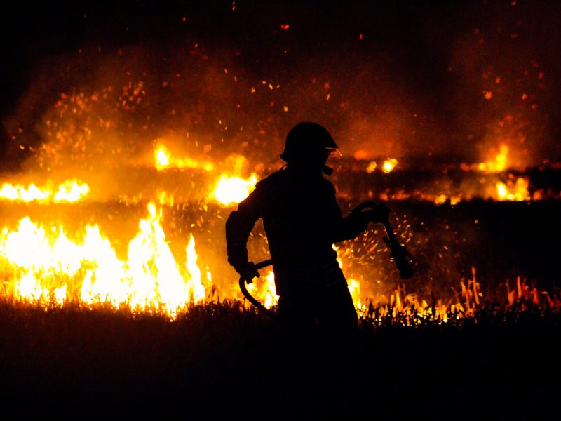 Fire fighter battling a forest fire crisis